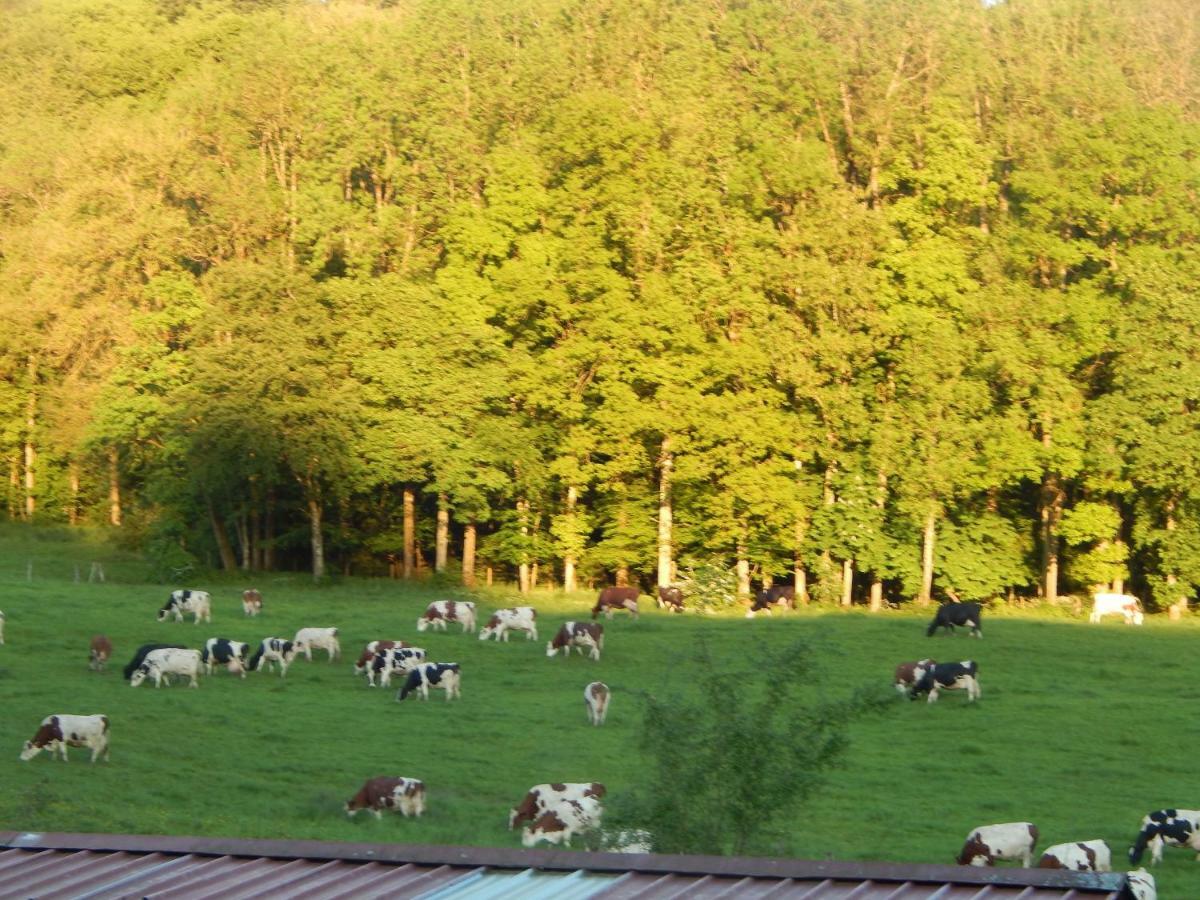 Bed and Breakfast A la source du saolon à Culmont Extérieur photo